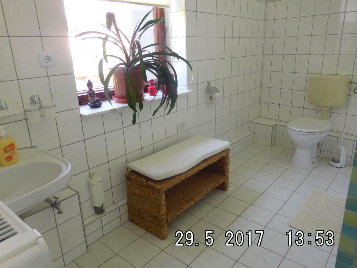Ferienwohnung Am Schloss Torgau Dış mekan fotoğraf