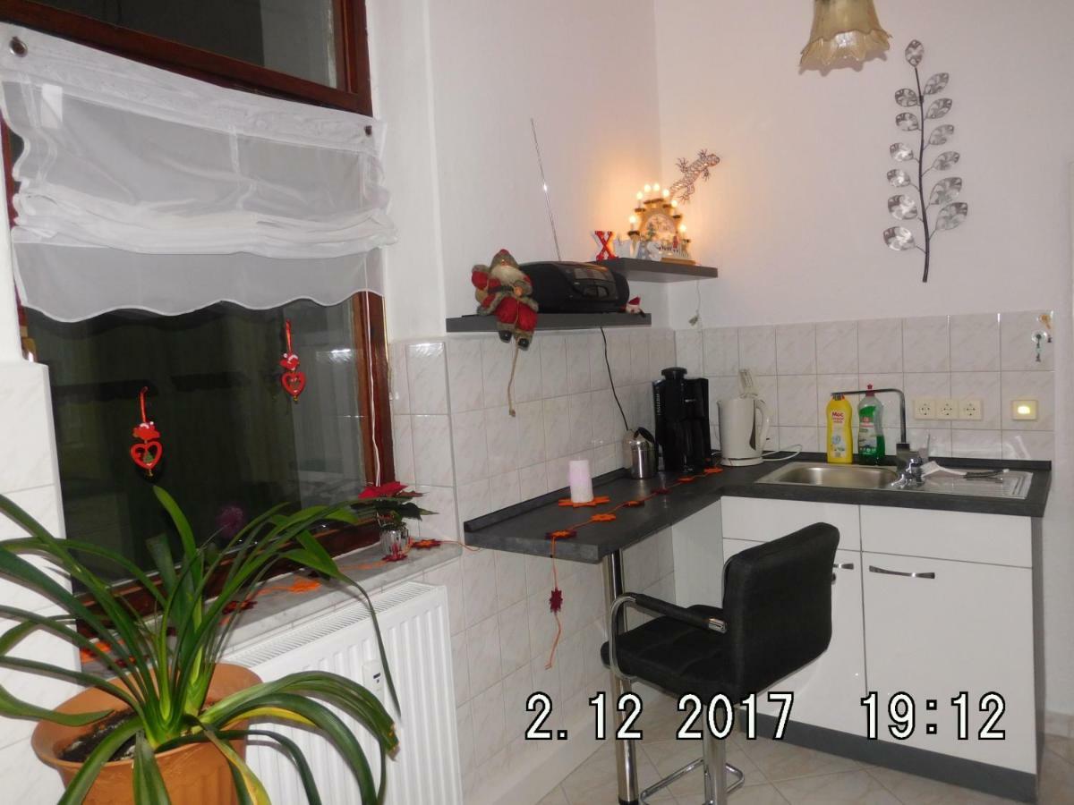 Ferienwohnung Am Schloss Torgau Dış mekan fotoğraf